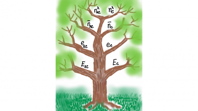 Exchange correlation tree